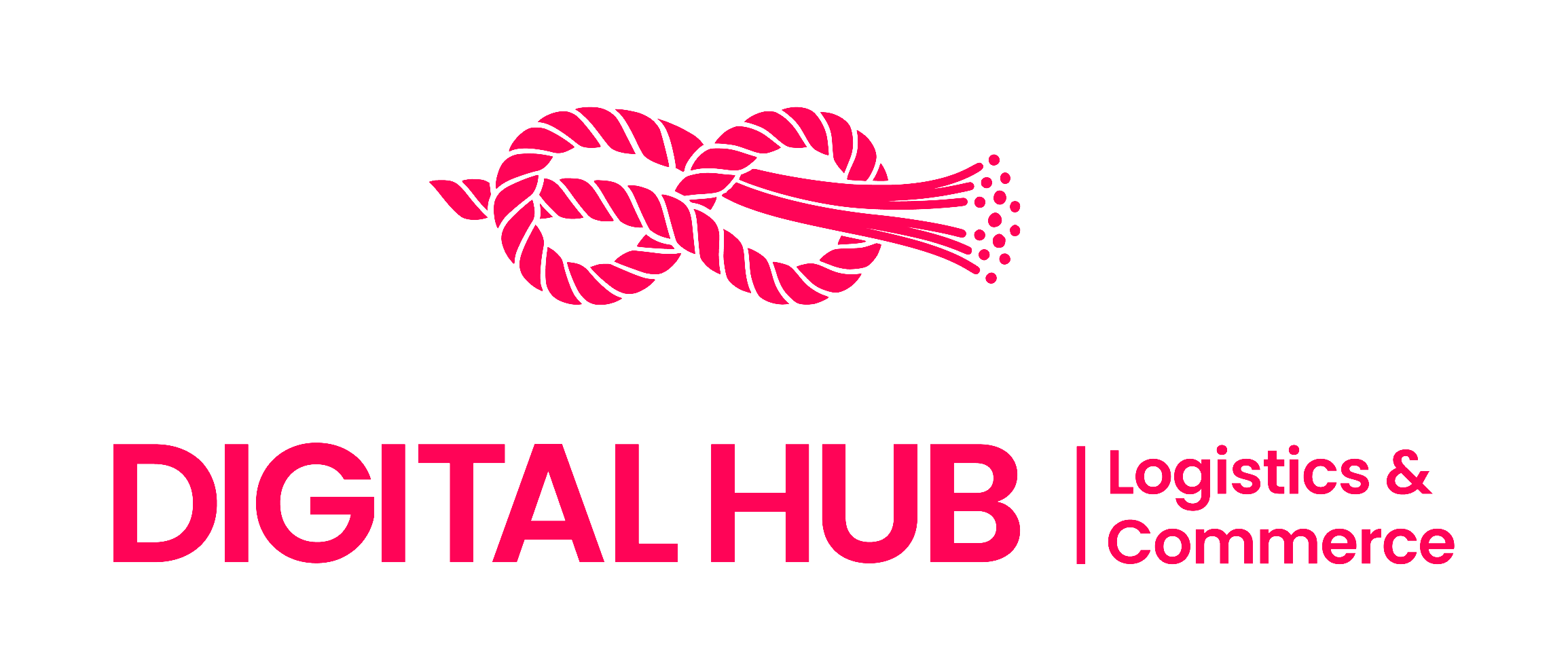 Digital Hub Logistics & Commerce